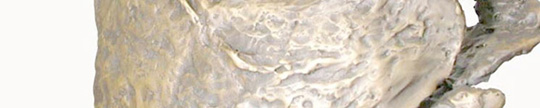 scultura